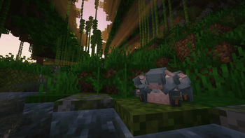 Cobblemania