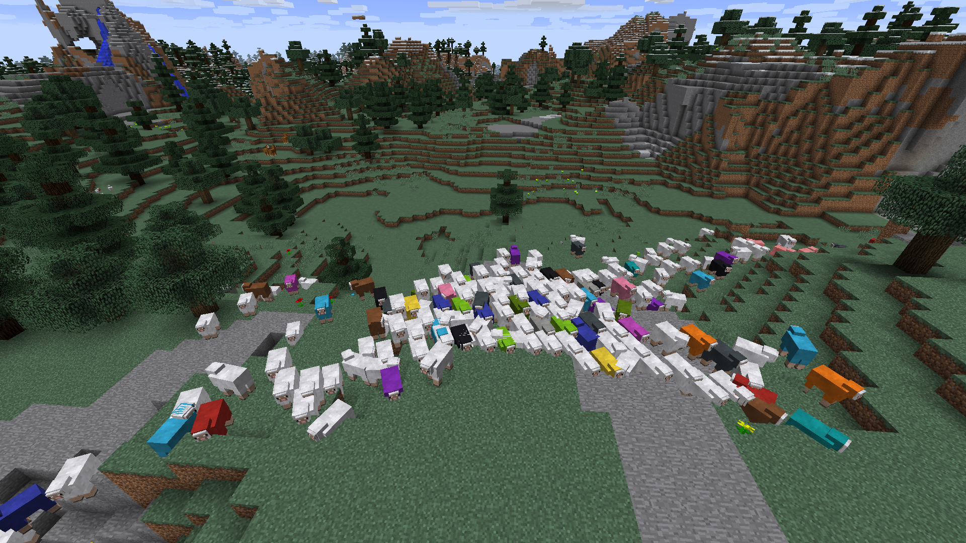 Colorful Sheep