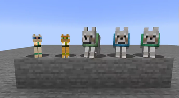 ColorfulCollars