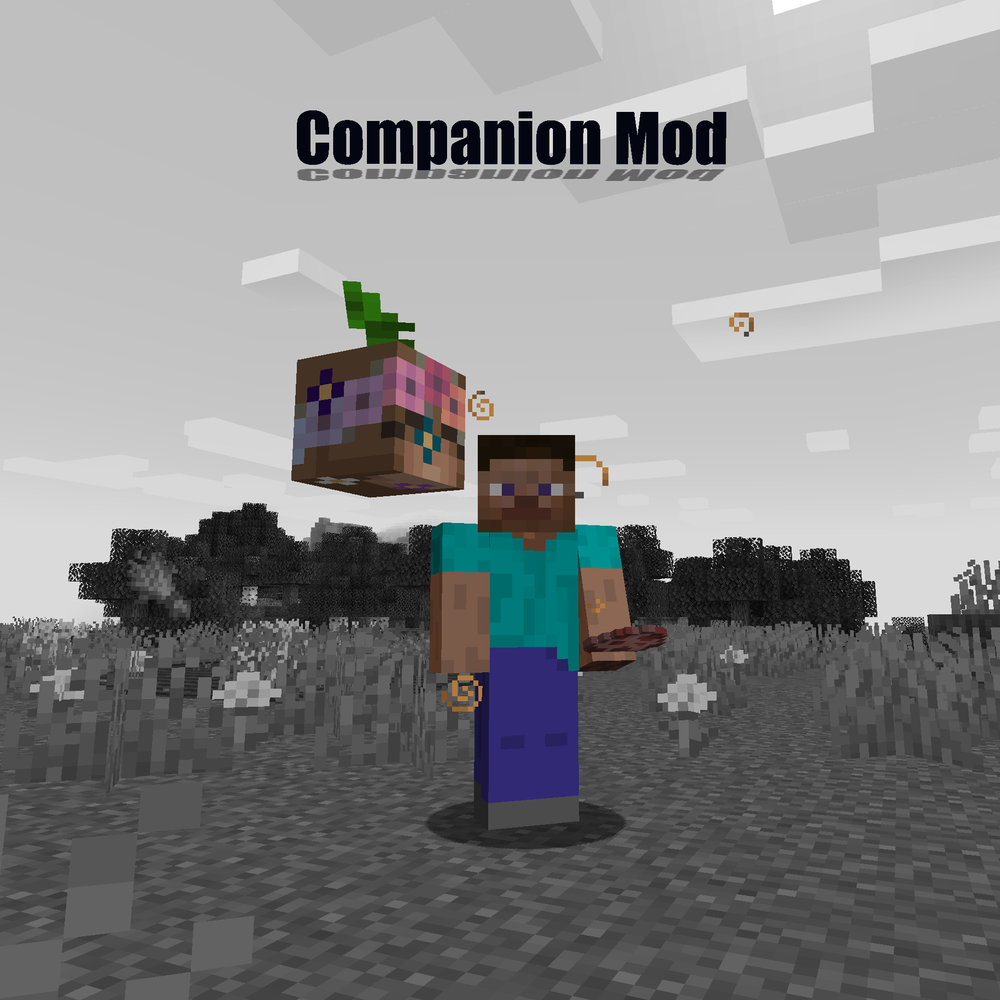 Companion Mod