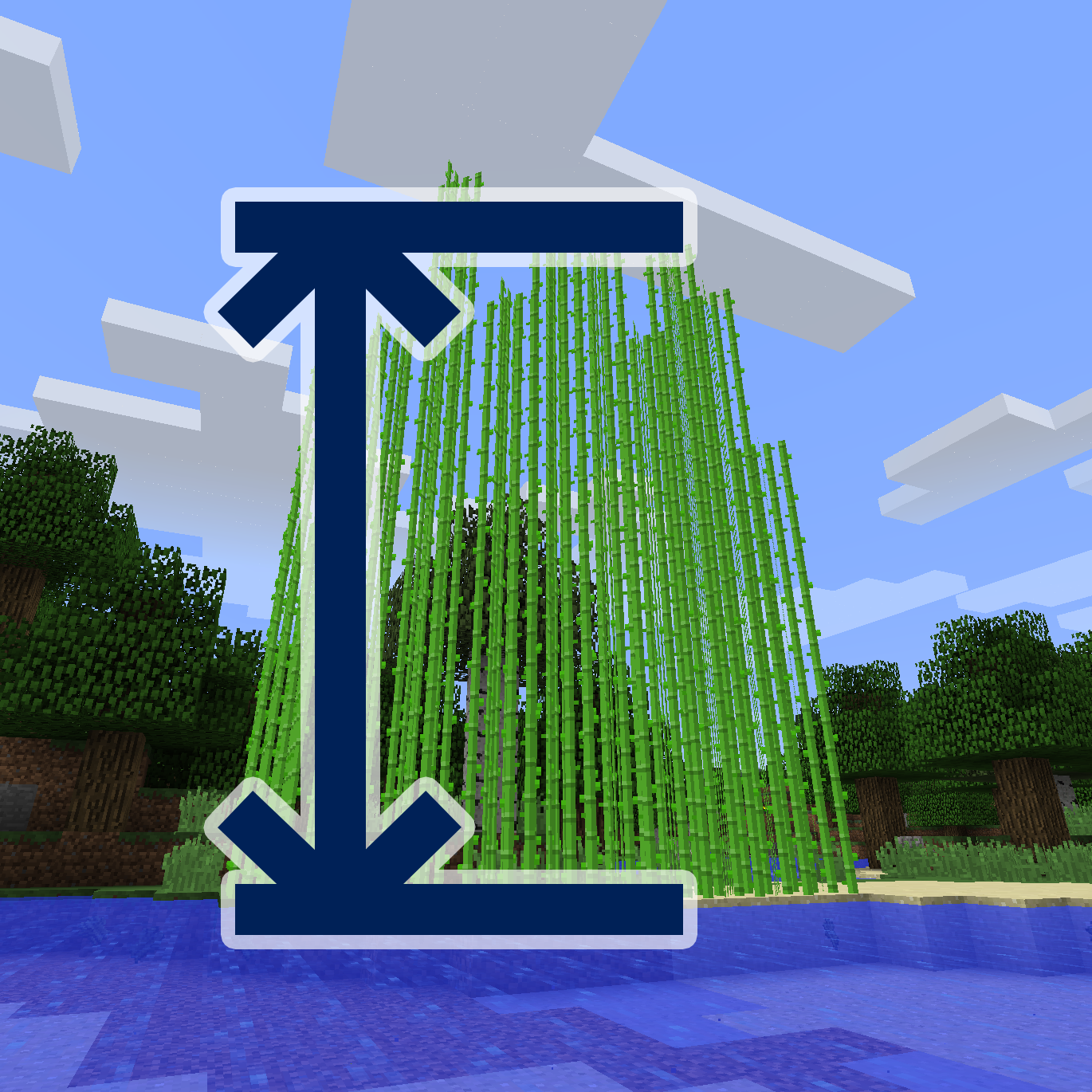 Configurable Cane
