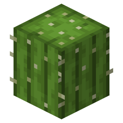 Cooler Cactus