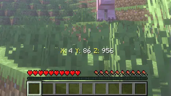 Coordinates On-Screen