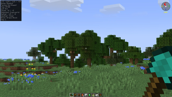 Coordinates HUD