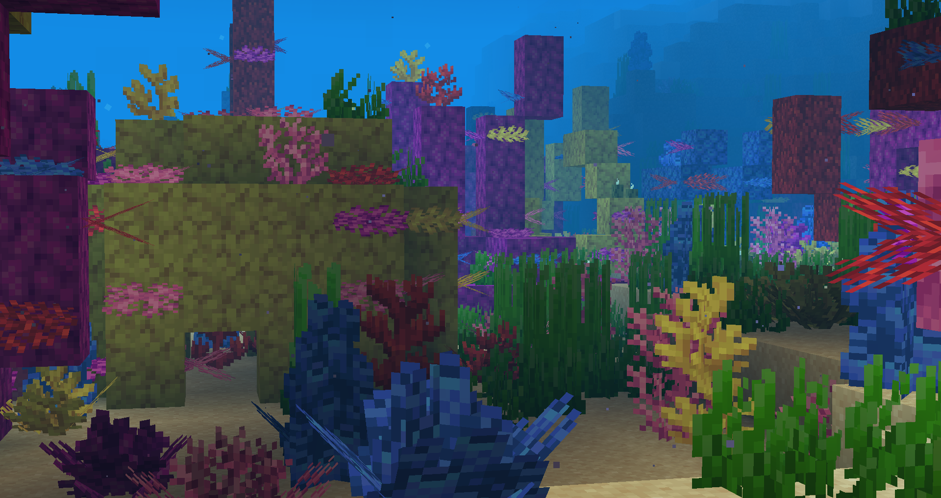 Coral Up