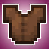 Custom Leather Armor