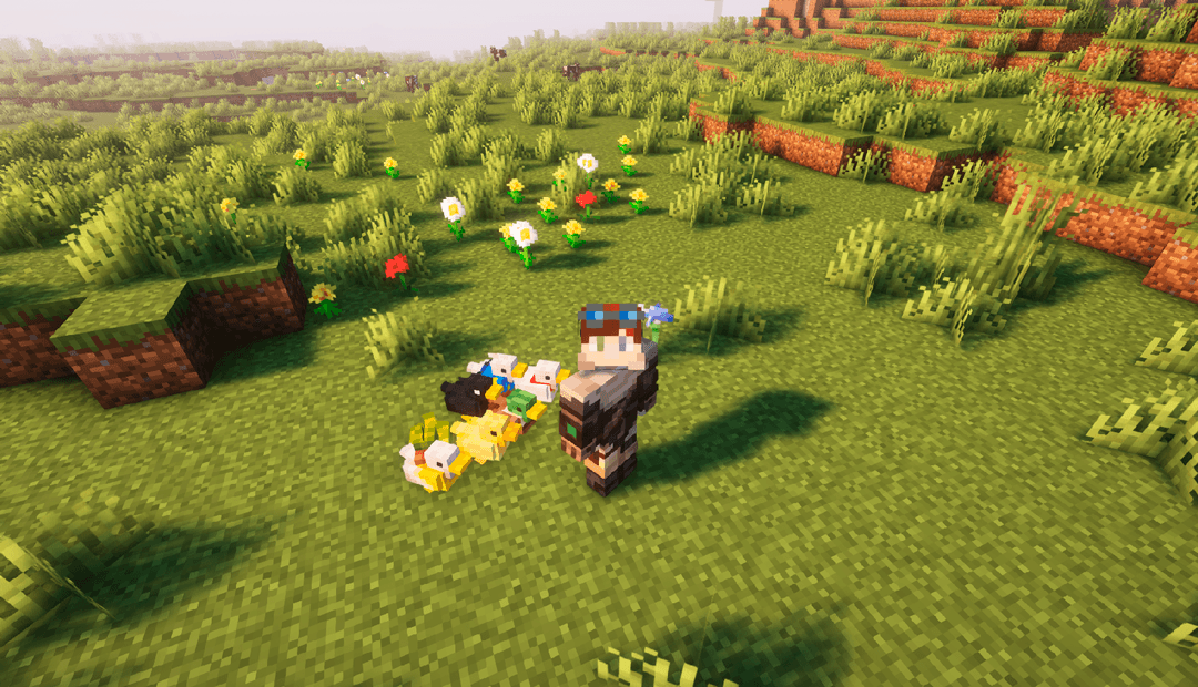 Cute Companions: Ducks