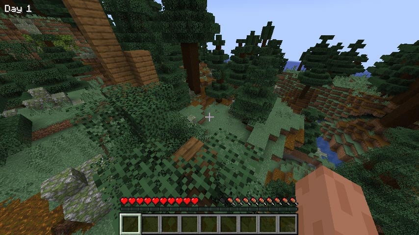 Day Counter Enhanced