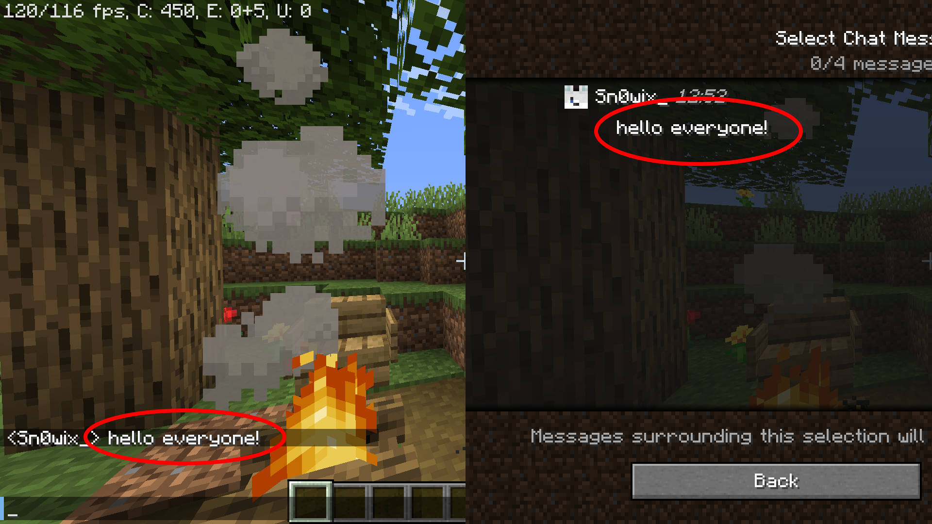 Deleted Chat Reports