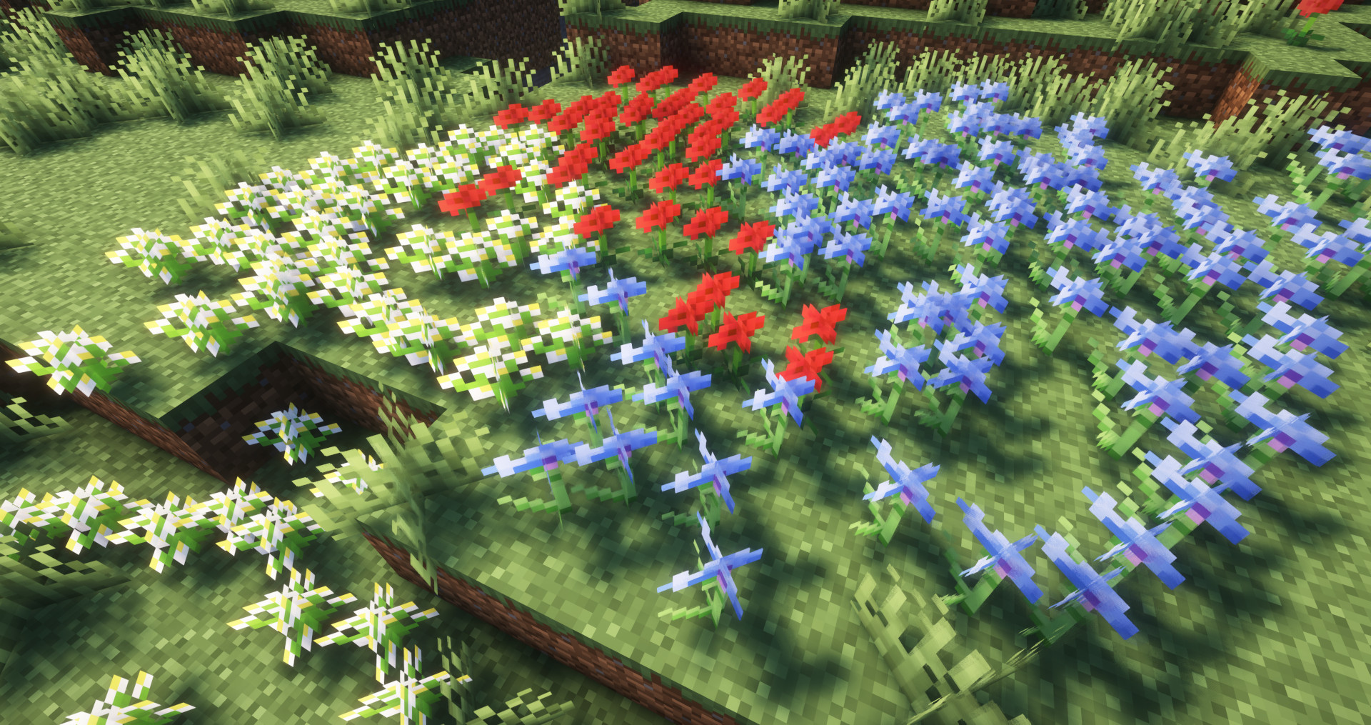 Dense Flowers