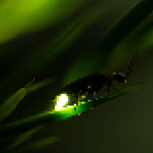 Derex's Fireflies