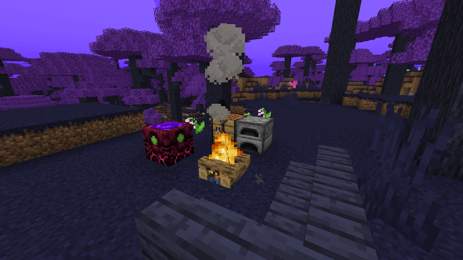 Dimensions & Dungeons