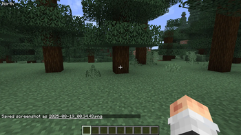 Download Direction HUD — Minecraft Mods — MetaMods