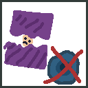 Disable Shulker Teleport
