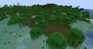 DragN’s Bettas & Aquatics!