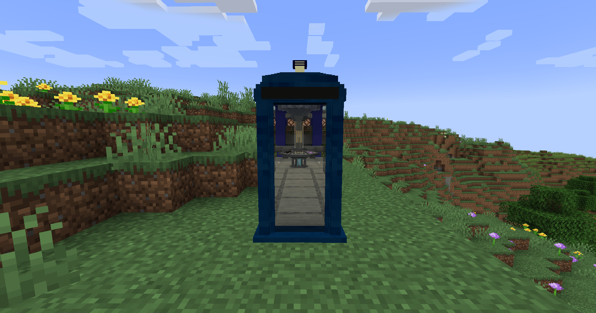 Doctor Who - TARDIS - Reborn