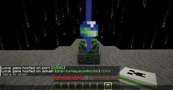 e4mc CraftMine port