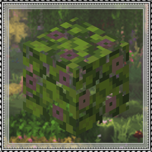 Ecospherical Expansion Lite