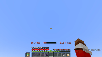 Elytra Durability Display