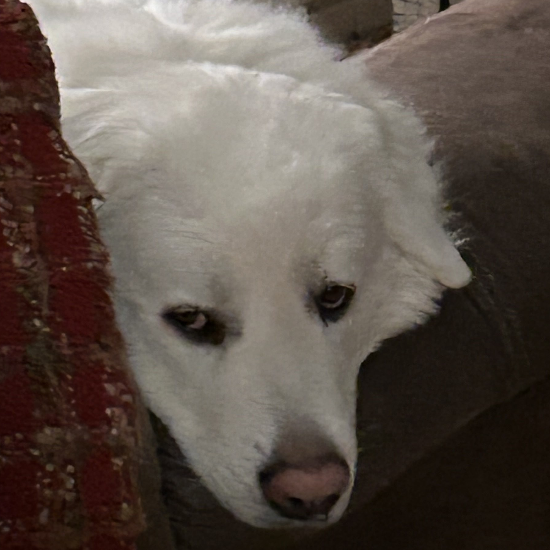 Empire Strikes Block Star Wars Flans Pack