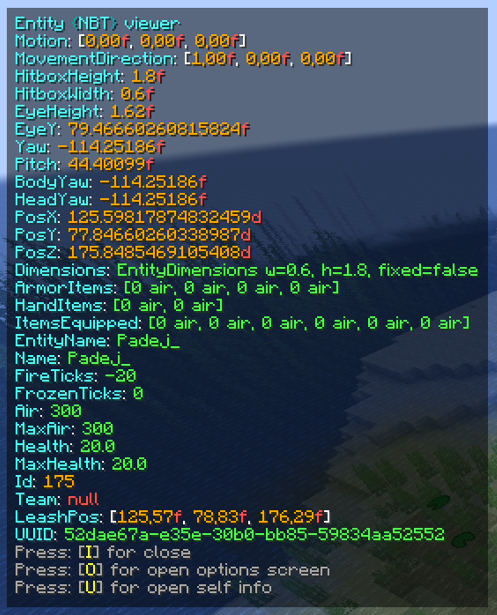 Entity NBT Viewer