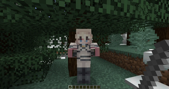 Entity Texture Changer