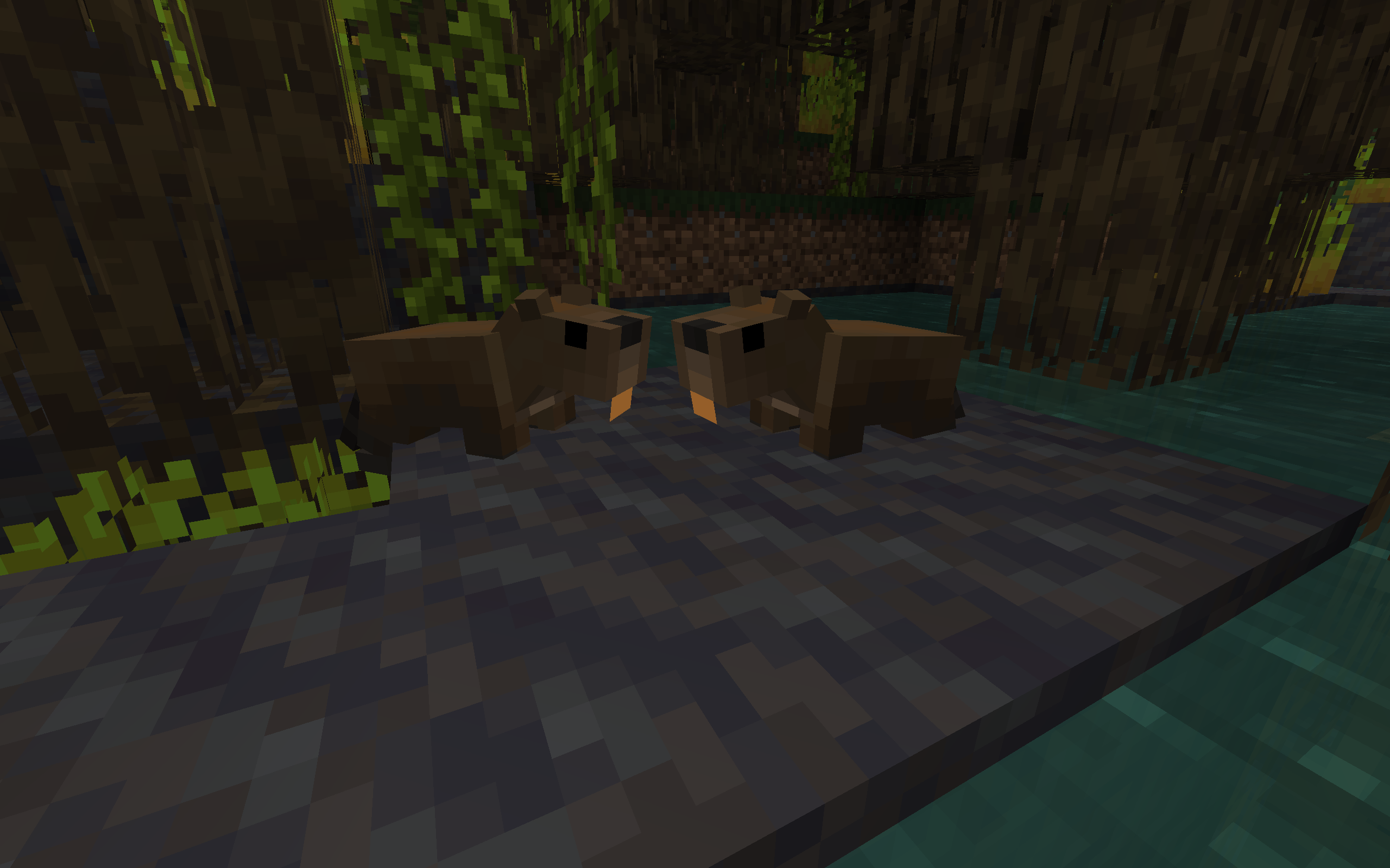 Environmental Expansion