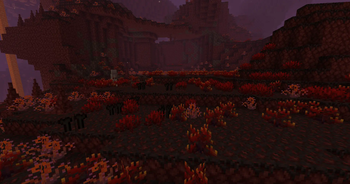 Even Better Nether