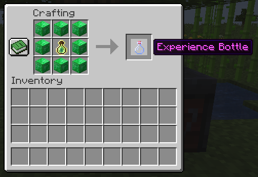 Experience Bottle
