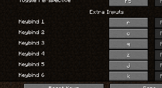 Extra Inputs
