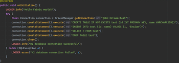 Fabric Database H2