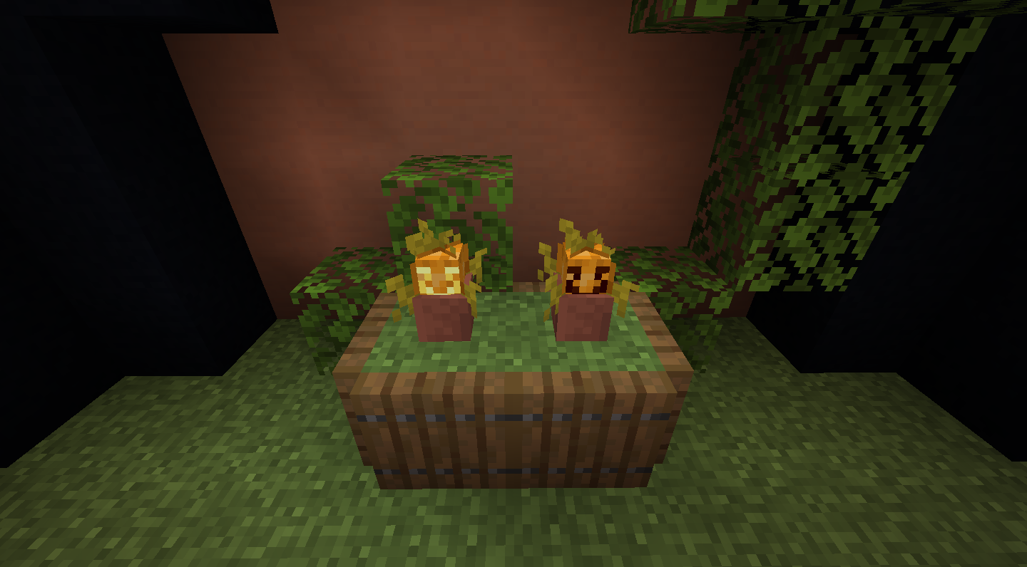 Florist
