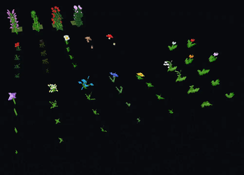 Flower Picking