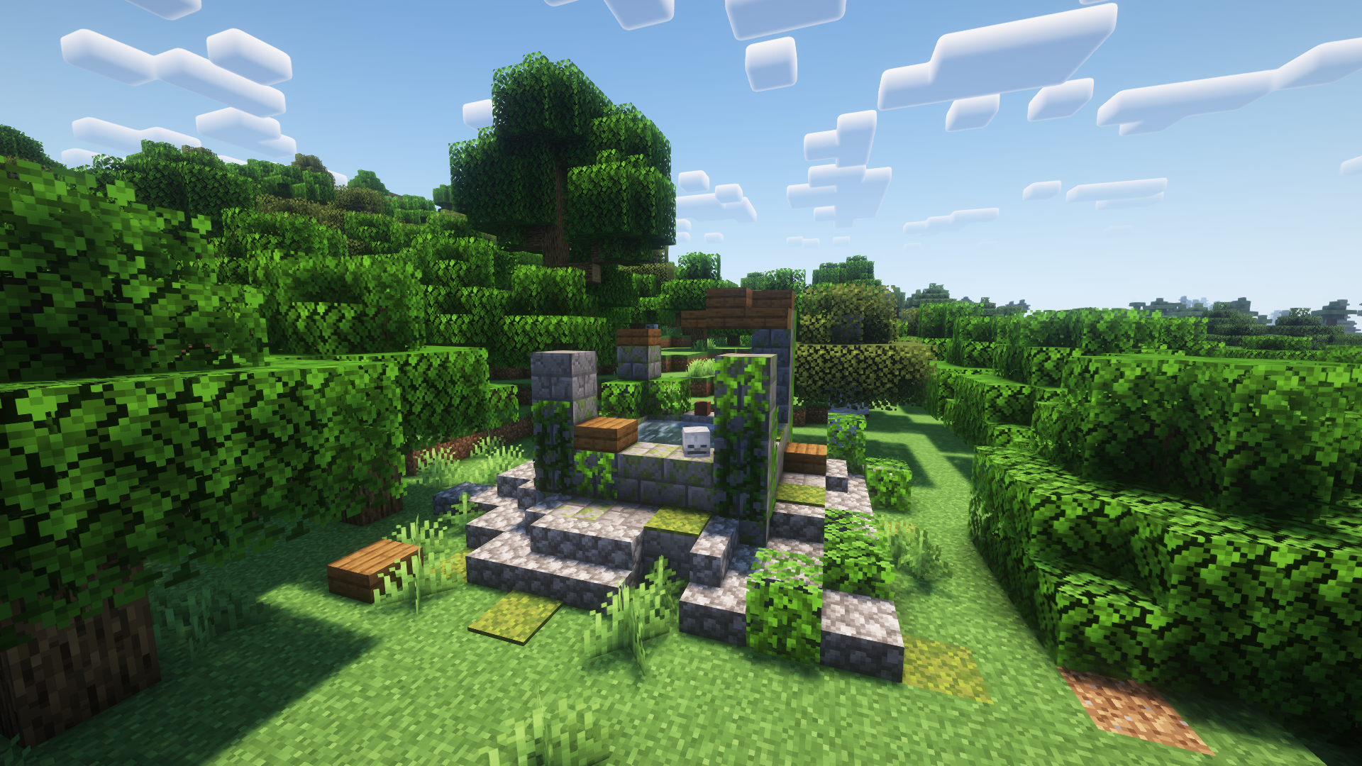 Forest Ruins