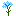 forget me not