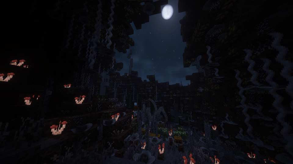 Fungal Infection: Spore