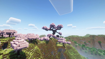 Giant Cherry Blossom Bonsai Tree