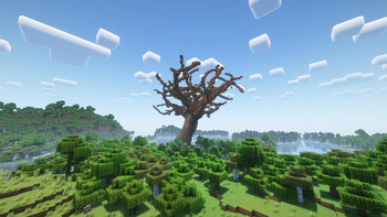 Giant Dead Oak Tree