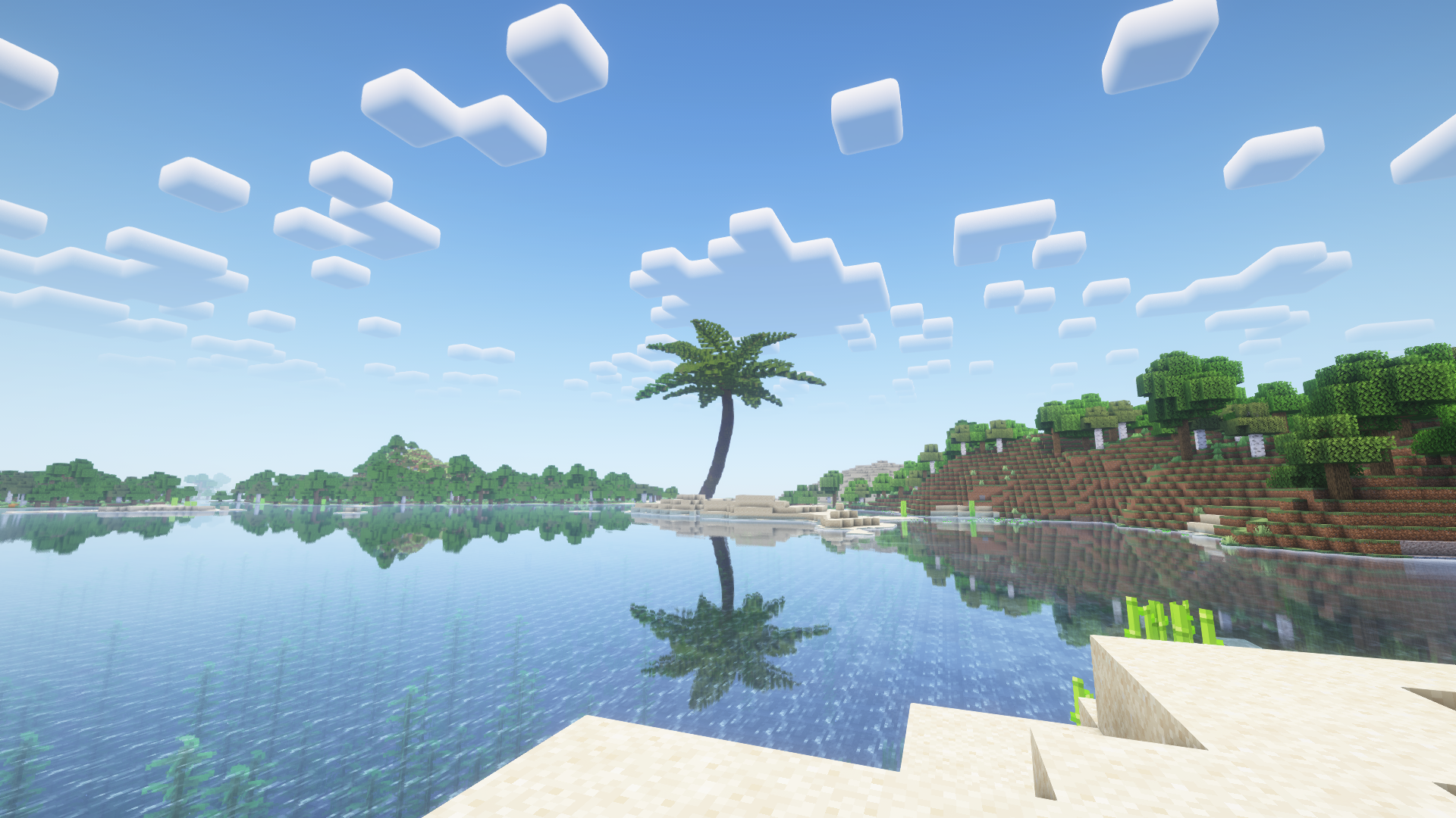 Giant Palm Tree