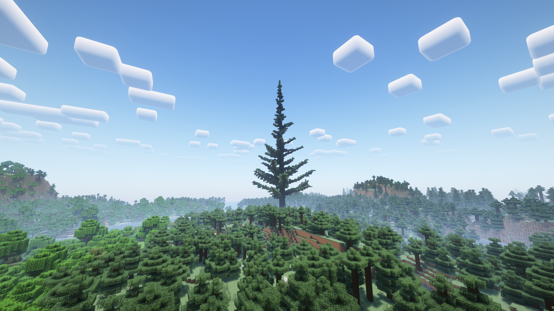 Giant Pine Tree