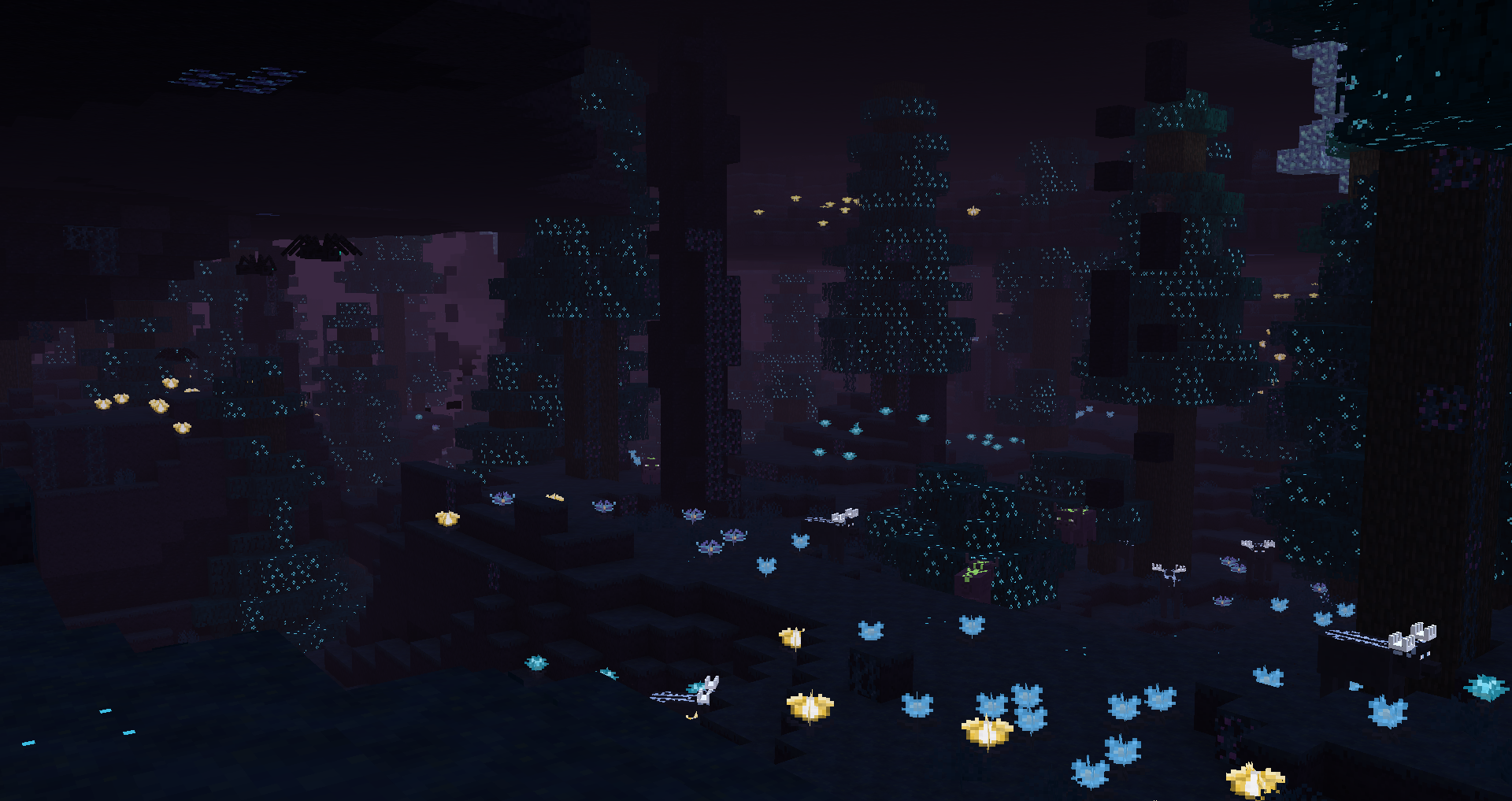 Glacidus