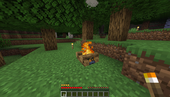 Cozy Campfires