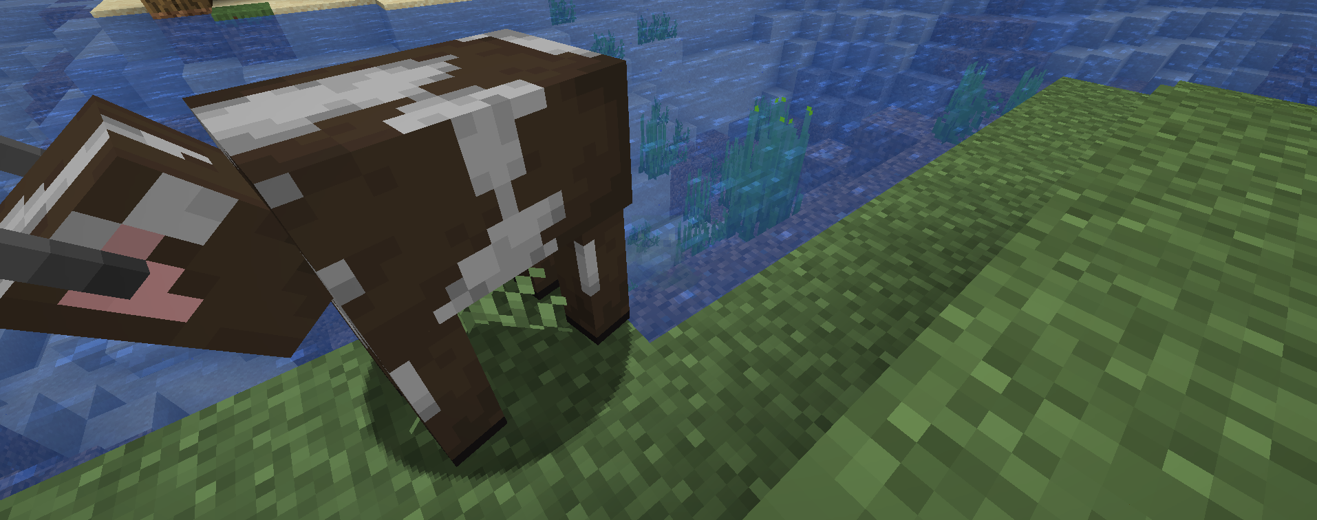 Gnasher Origin [DEPRECATED]