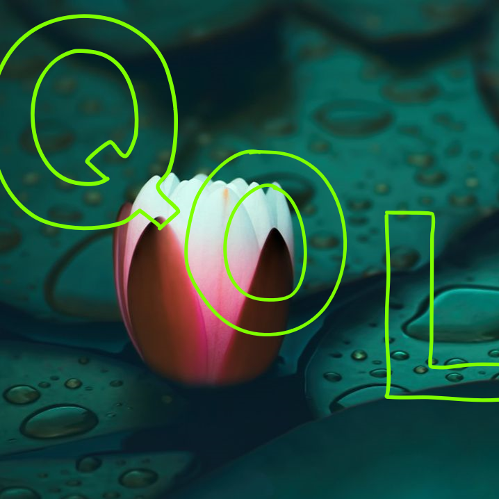 Quality Of Life (QOL) [DISCONTINUED]