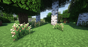 Greeneries