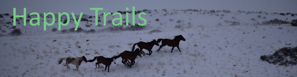 Happy Trails