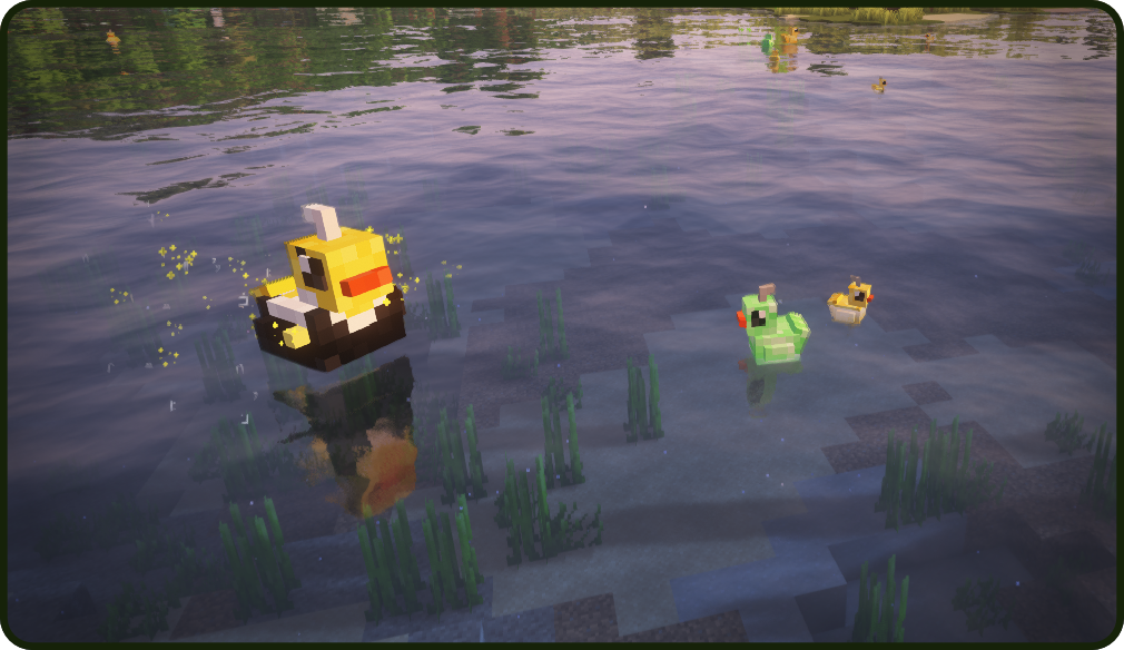 Hook a Duck
