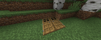 Horizontal Doors