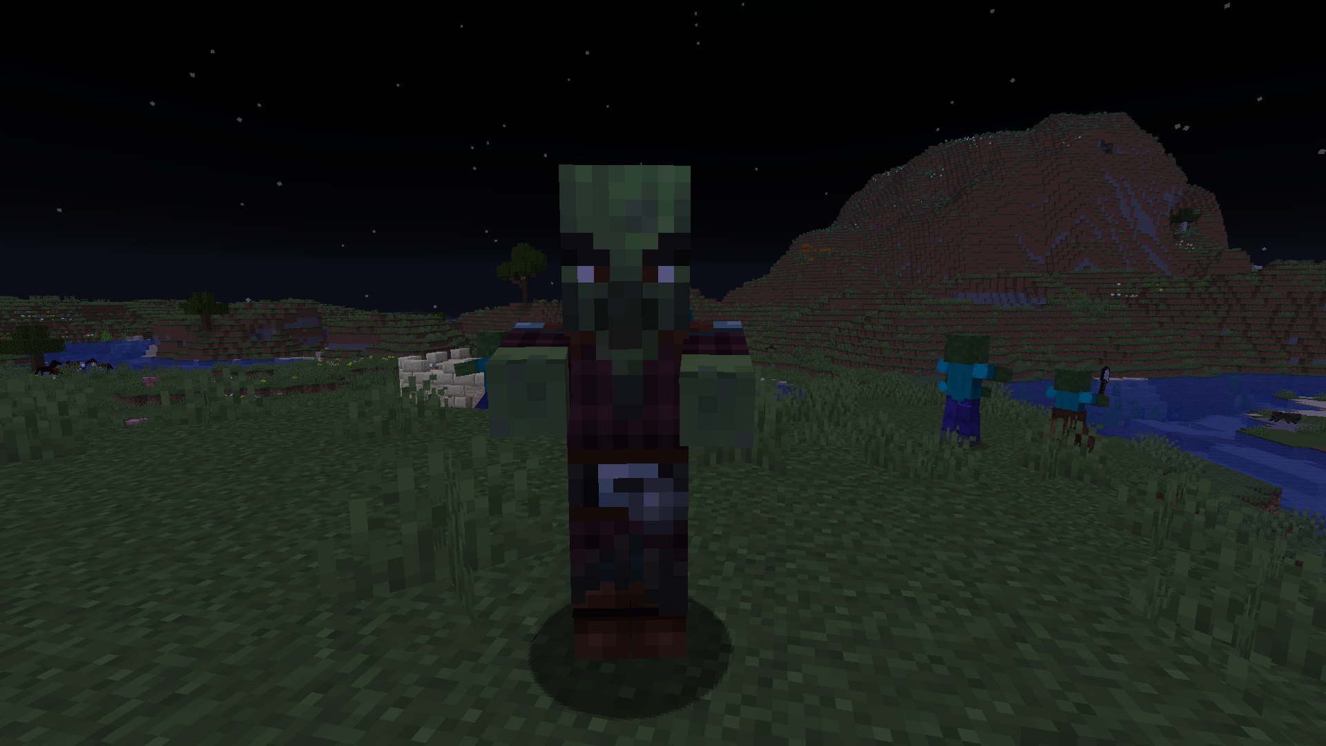Illager Trader