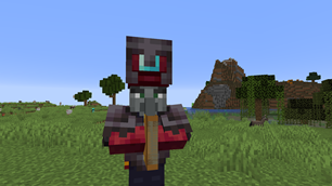 Illagers Wear Armor
